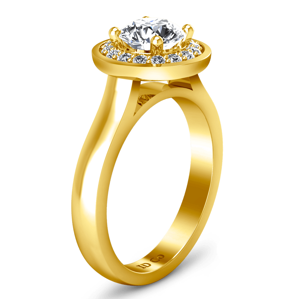 Halo Diamond Engagement Ring Erica 14K Yellow Gold engagement rings imaginediamonds 