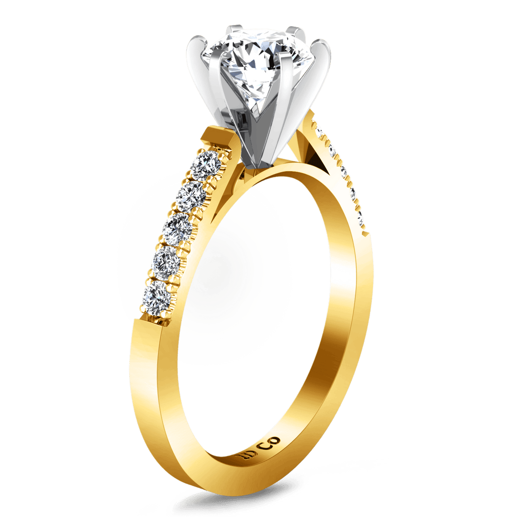 Pave Diamond EngagementRing Beth 14K Yellow Gold engagement rings imaginediamonds 